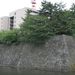福井の城跡