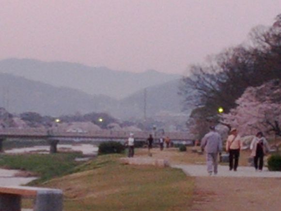 IMG_20120413_053634.jpg
