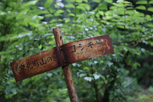 西谷の林道から分かれ道